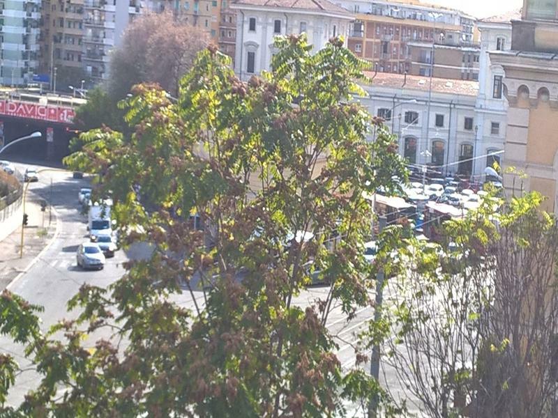 Elegance Scalini Di Trastevere Rom Eksteriør billede